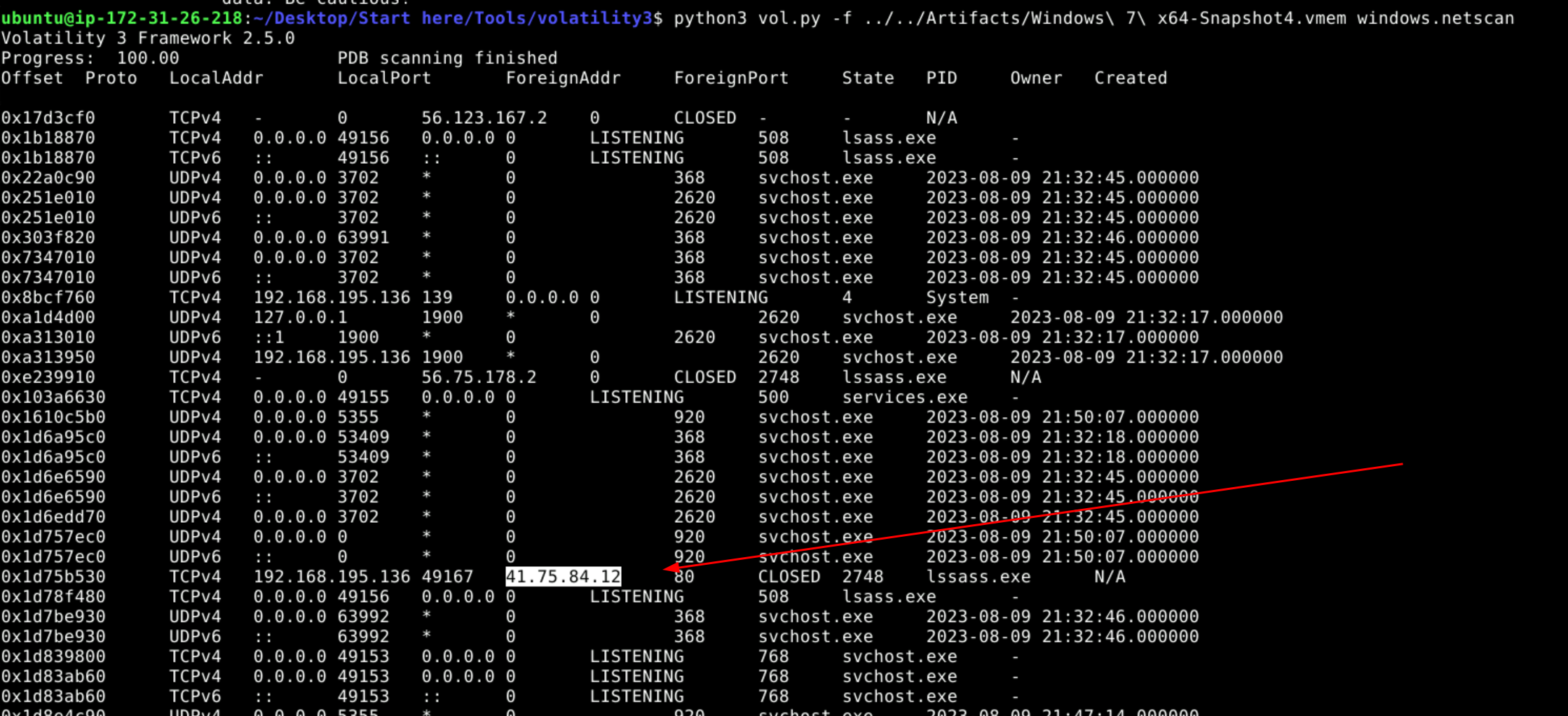 netscan output showing C2C IP connection
